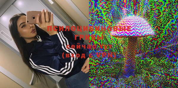 гашик Алексеевка