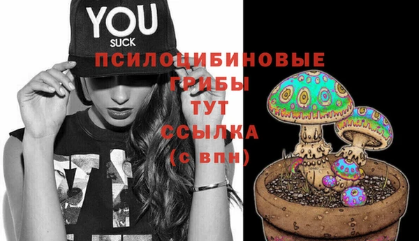 прущие крисы Абдулино